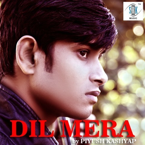 dil mera chahe mp3 download